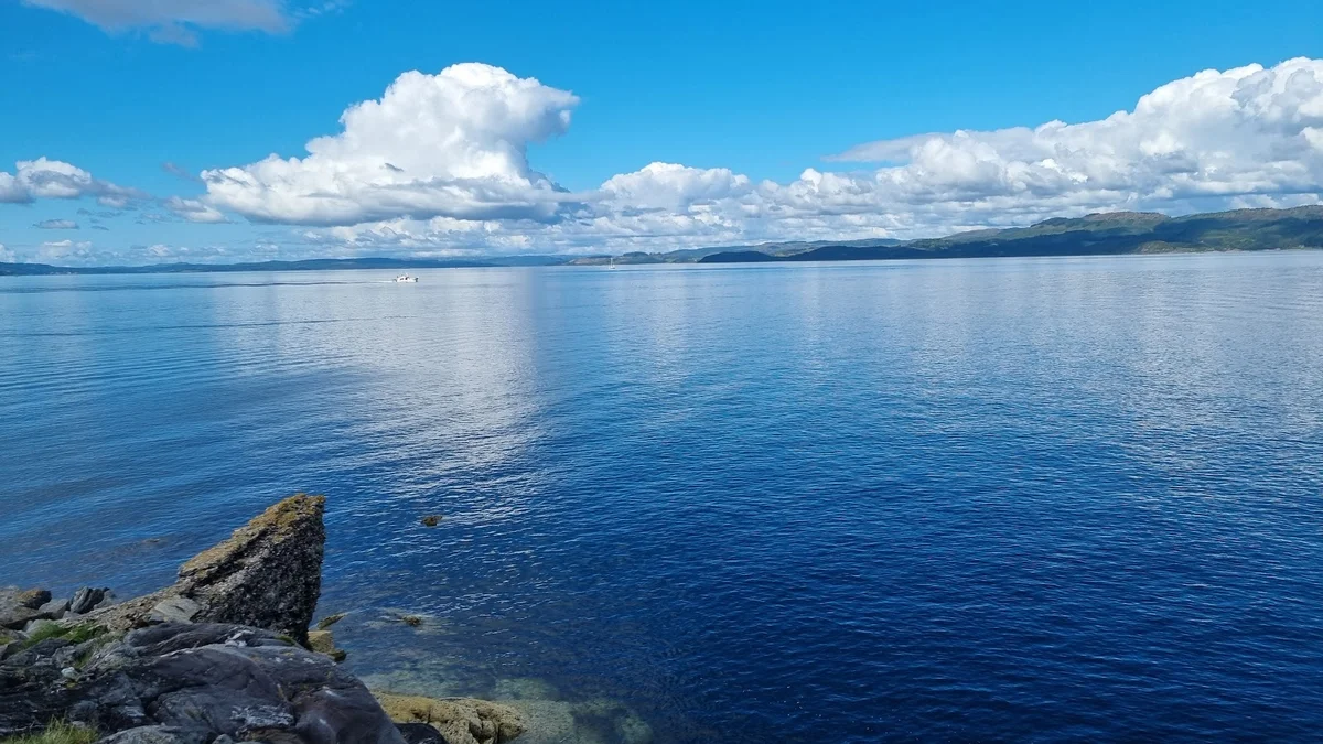 Shell beach in Tarbert, Argyll and Bute - Ask AI | mindtrip