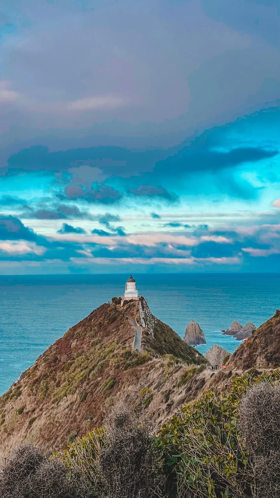 Kaka Point Scenic Reserve in Kaka Point | Ask Anything