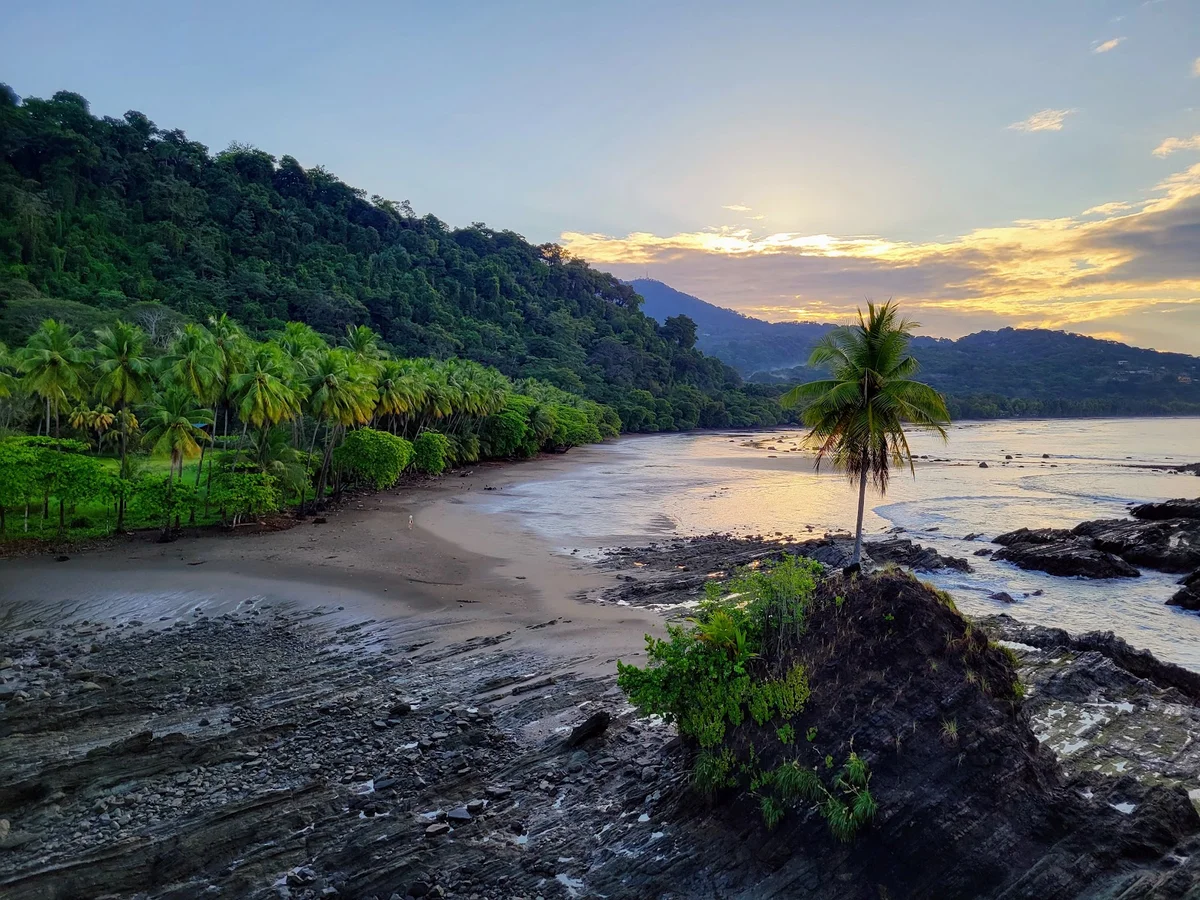 Playa Dominicalito in Dominical - Ask AI | mindtrip