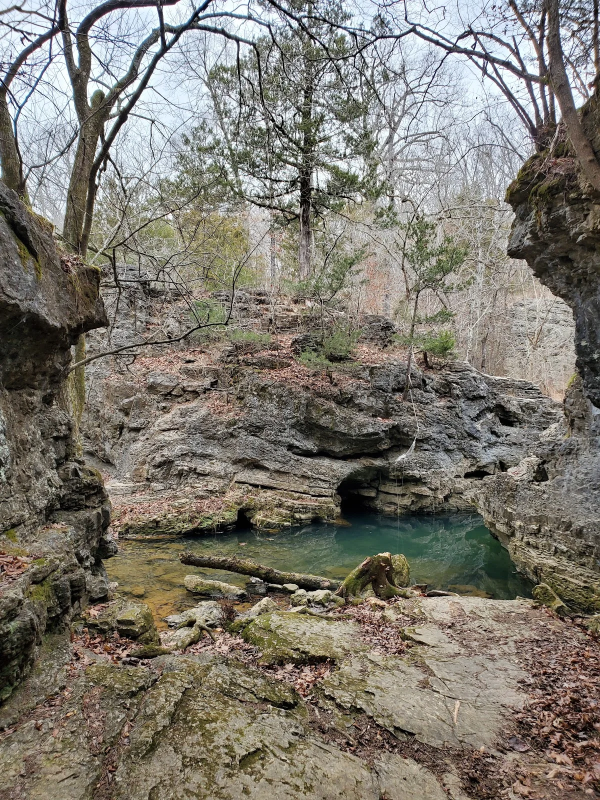 Halls Creek Canyon in Ravenden Springs | Ask Anything