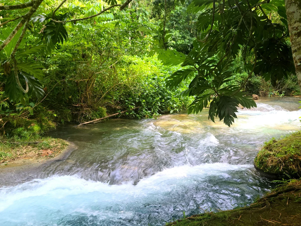 Thatch Hill River Park in Colgate - Ask AI | mindtrip
