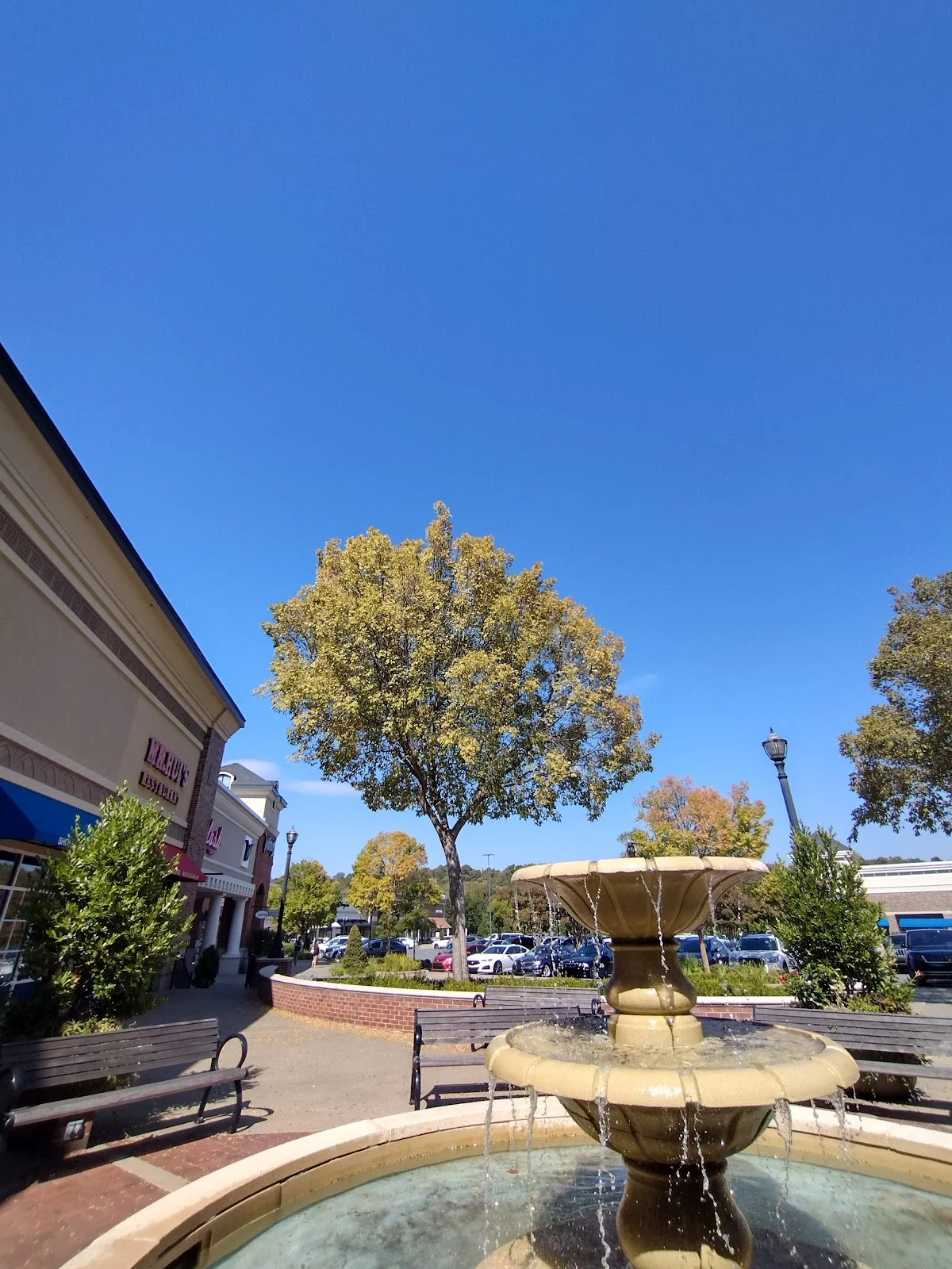 Pleasant Ridge Town Center | What to Know Before You Go