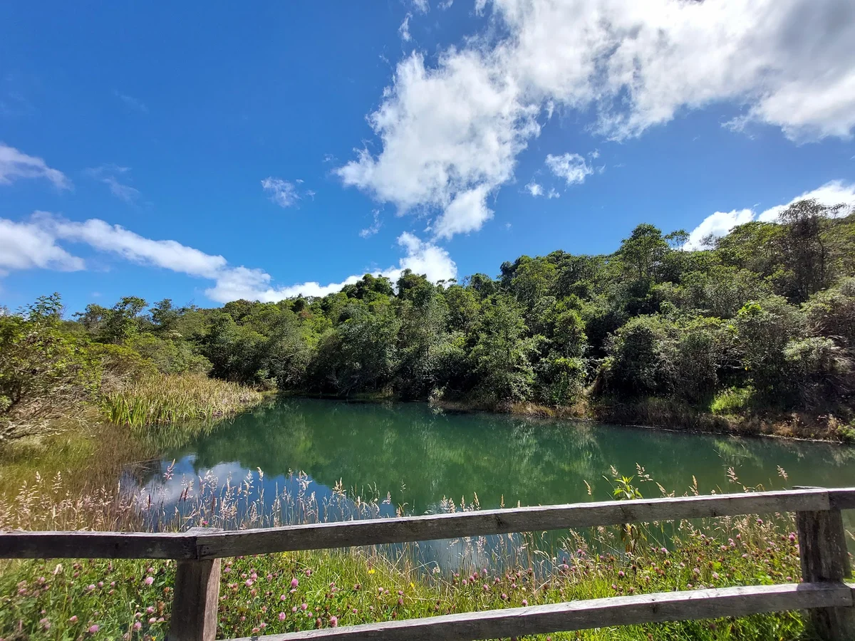 Reserva Biológica Encenillo in Guasca - Ask AI | mindtrip