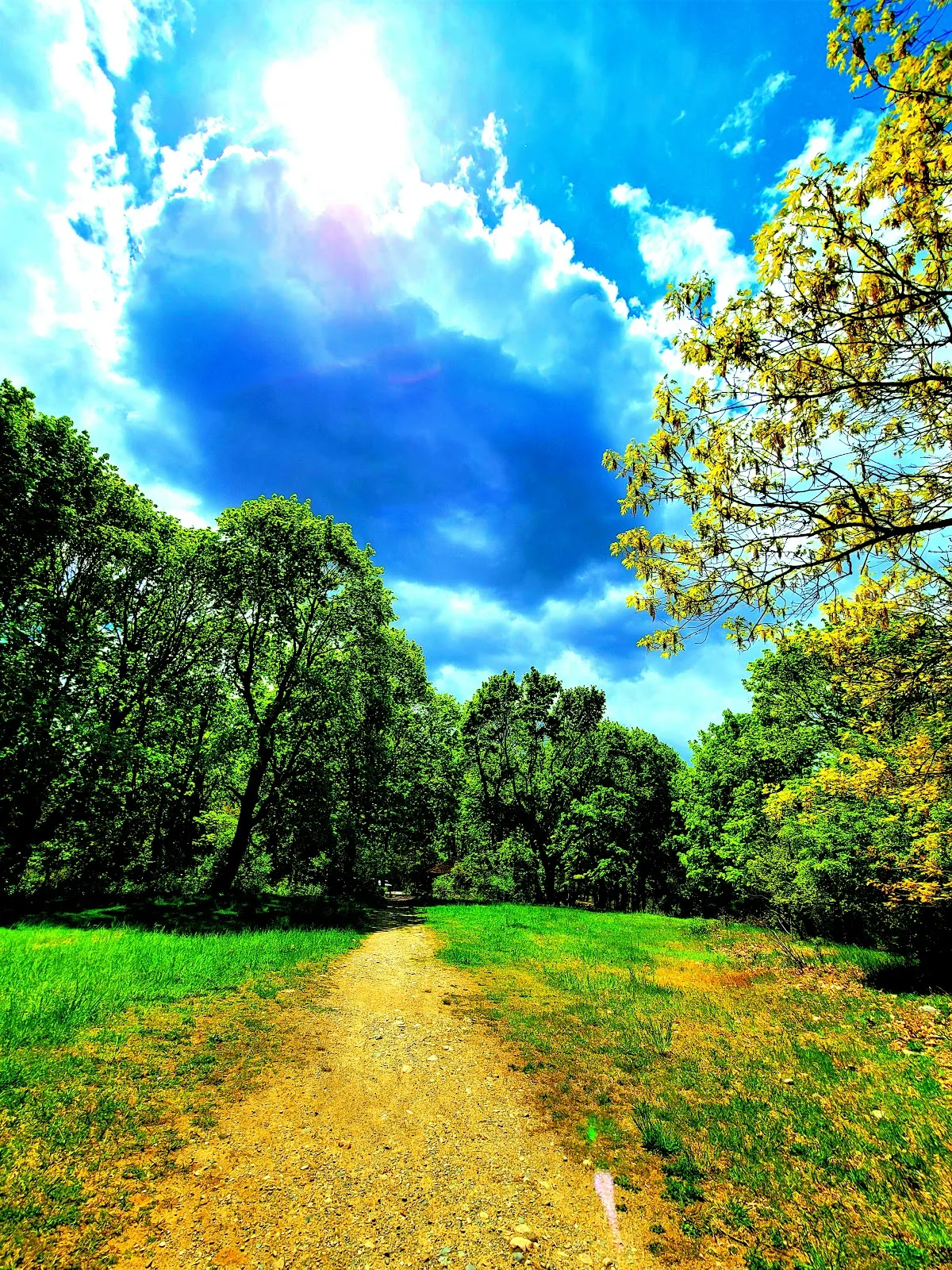 Mother Brook in Dedham | What to Know Before You Go