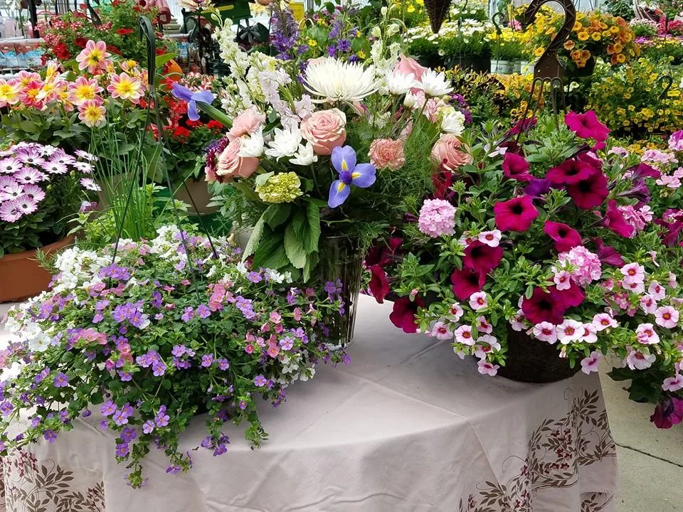 Randall's Farm in Ludlow | What to Know Before You Go
