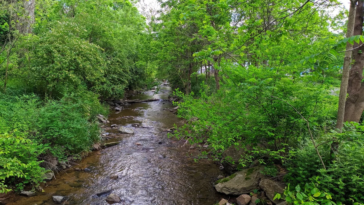 Emmaus Community Park in Emmaus - Ask AI | mindtrip