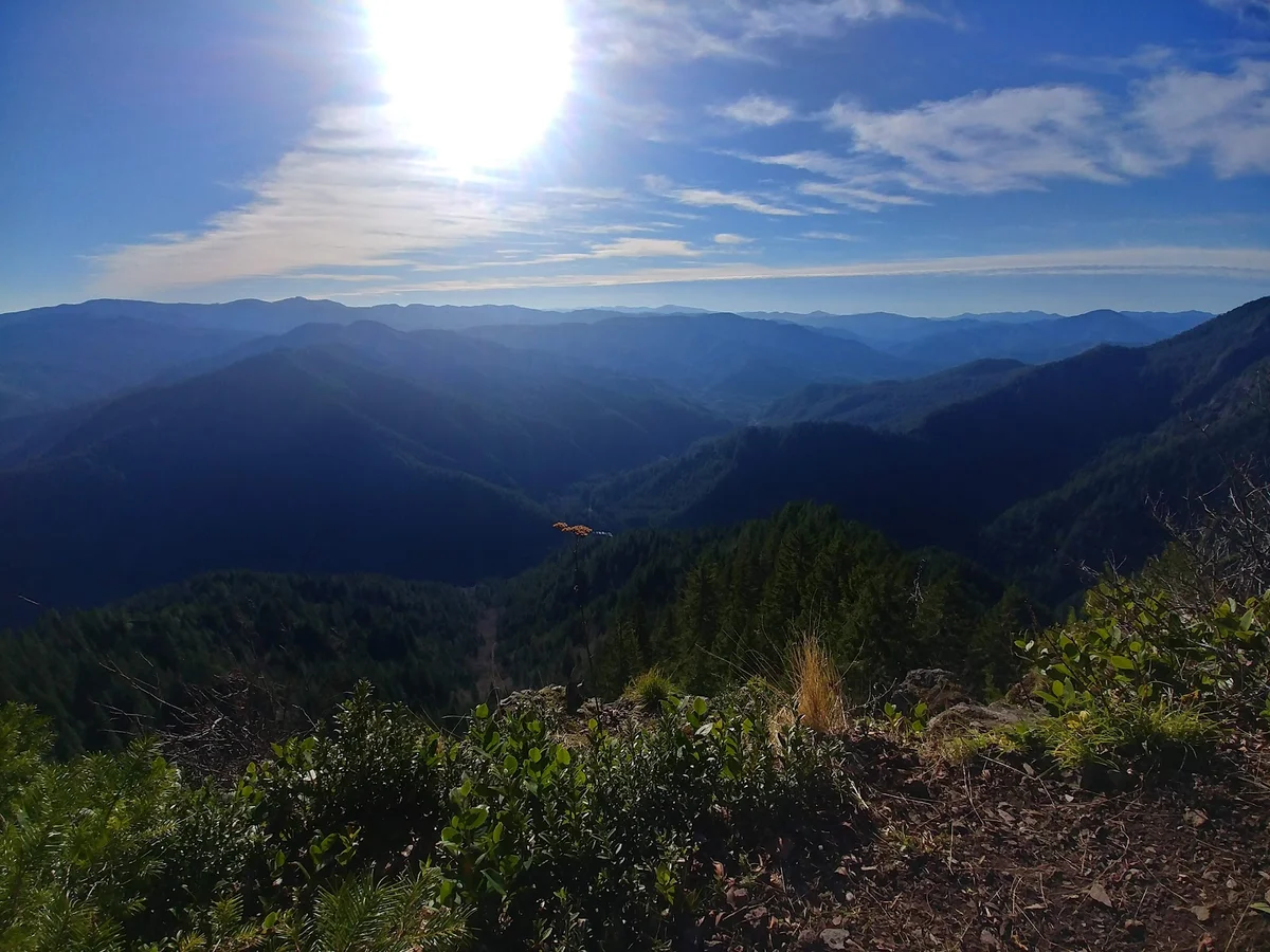 Elk Mountain in Timber, Oregon | Ask Anything