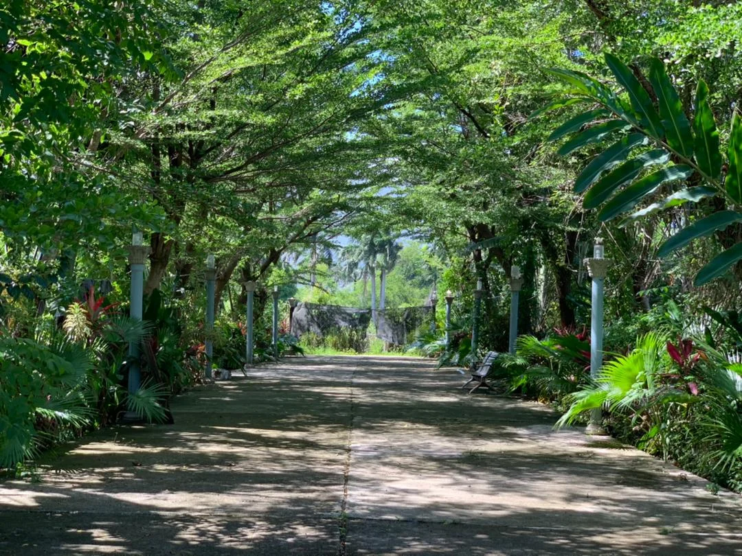 Jardin botanique Emari de Milot | What to Know Before You Go