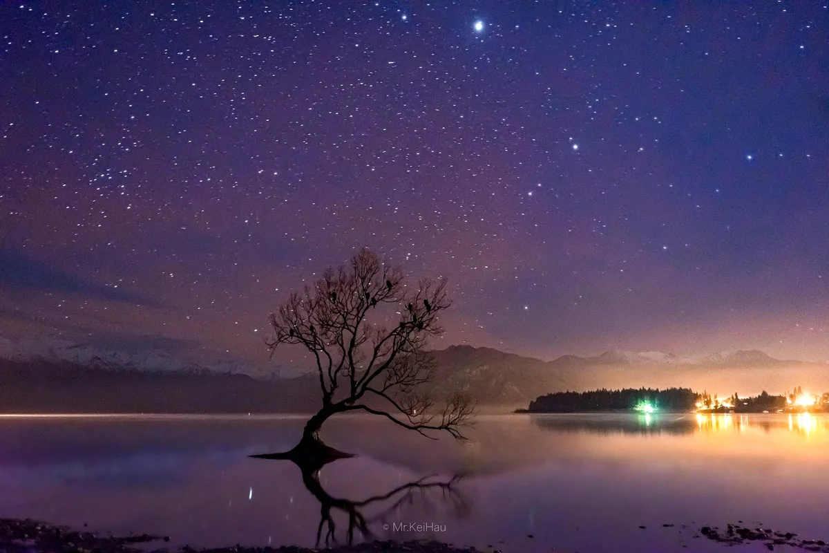 #ThatWanakaTree in Wanaka | What to Know Before You Go