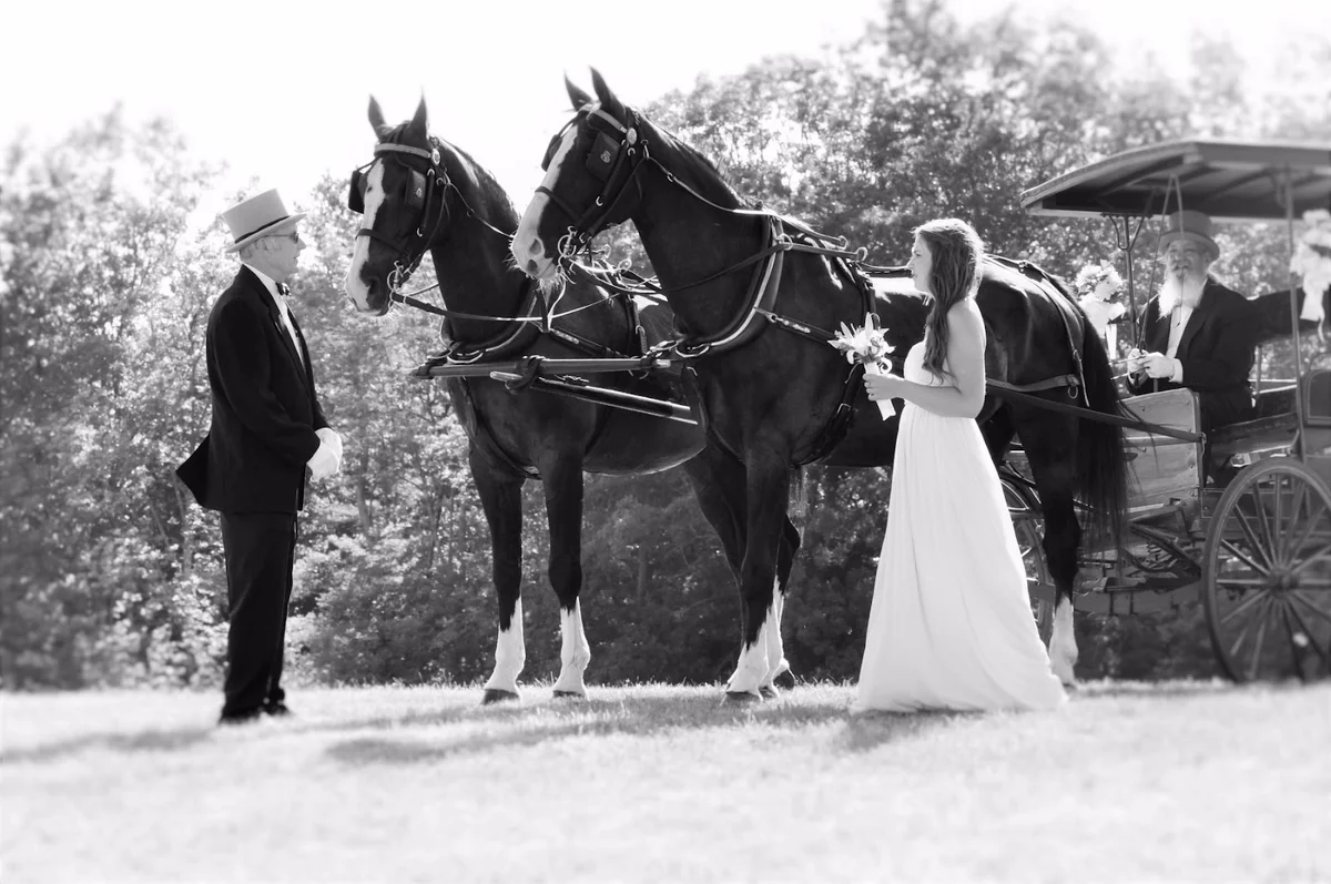Silver Ranch Stables in Jaffrey | What to Know Before You Go