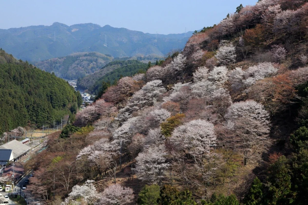 Yoshinoyama Ropeway in Yoshino-cho, Nara | Ask Anything