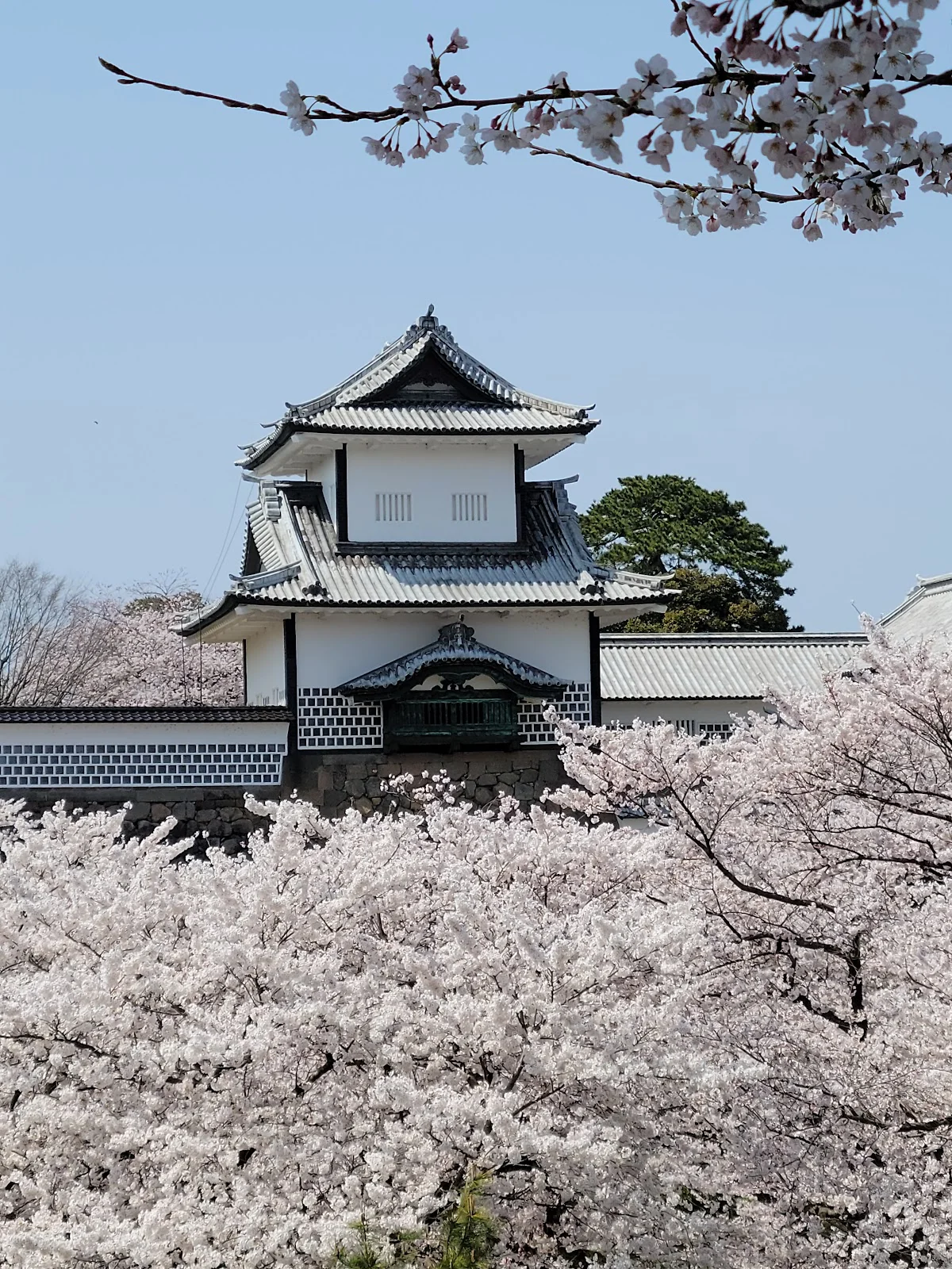25 Best Places to Visit in Japan - Ultimate Travel Guide 2026 | Leïla ...