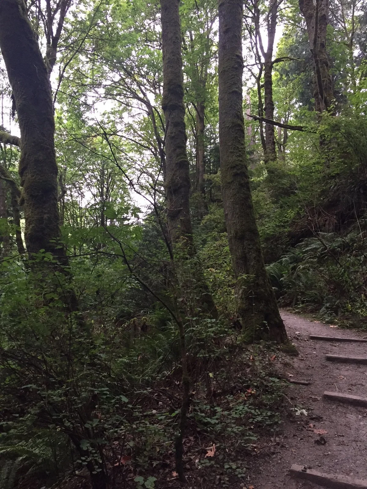 Lakeridge Park in Seattle, Washington | Ask Anything