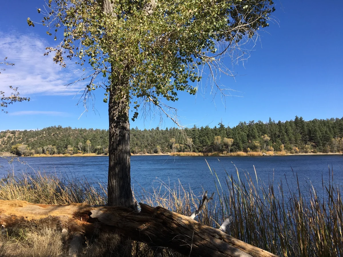 Lynx Lake Recreation Area | What to Know Before You Go