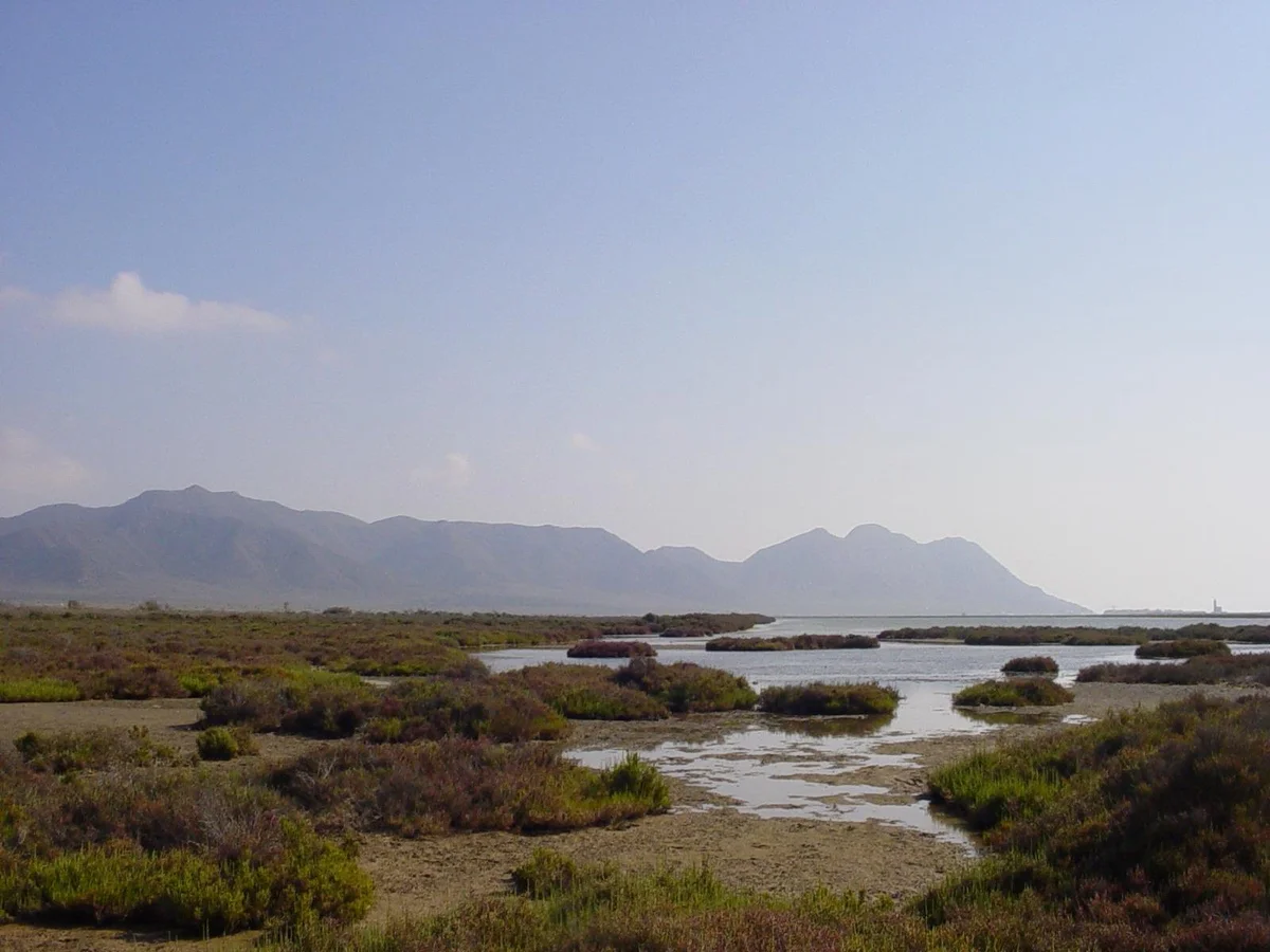 Las Salinas in Cabo de Gata, Andalucía - Ask AI | mindtrip