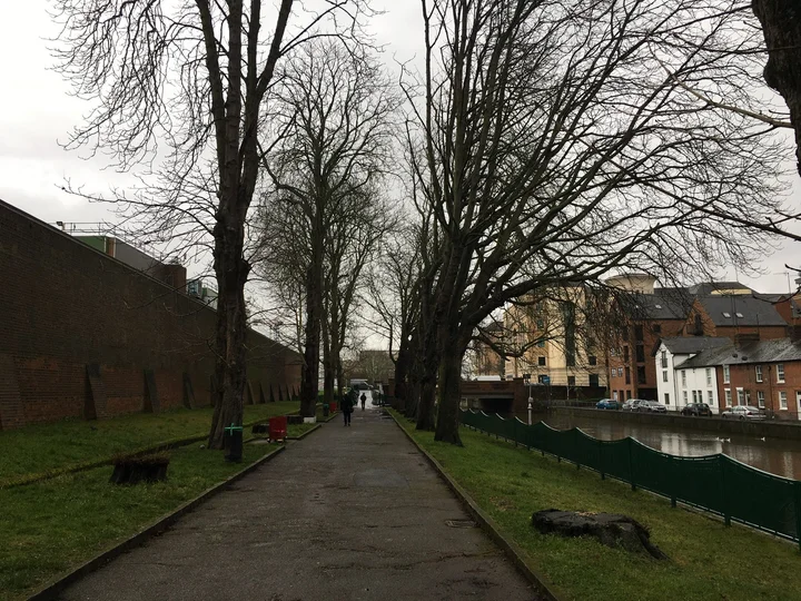 Chestnut Walk in Reading | What to Know Before You Go