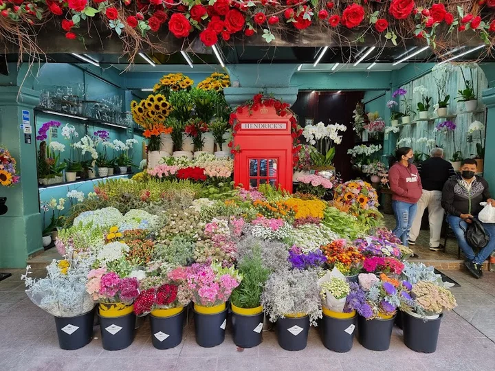 Polanquito in Mexico City | What to Know Before You Go