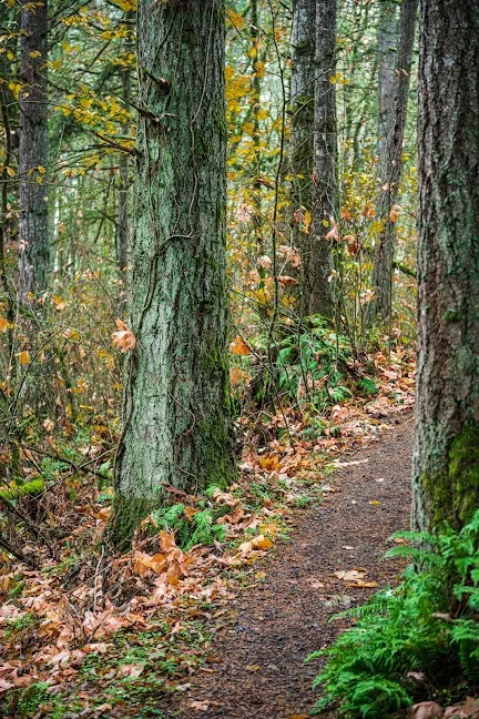 Spring Valley State Park | What to Know Before You Go