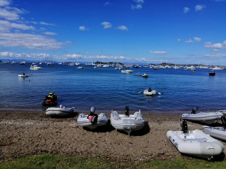 Cactus Bay in Auckland | Ask Anything