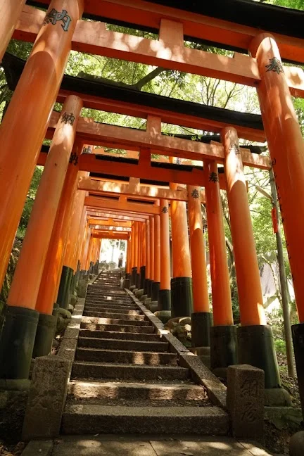 Fushimi Inari Pathway in Kyoto | What to Know Before You Go