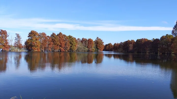 Sheldon Lake in Houston, Texas | What to Know Before You Go