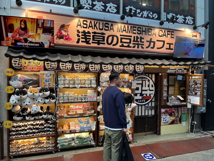 Asakusa's Mameshiba Cafe in Tokyo - Ask AI | mindtrip