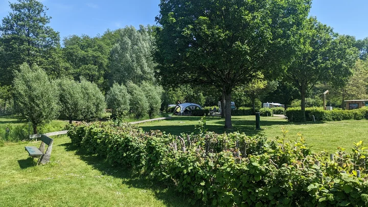 Camping Tintesmhle in Heinerscheid - Ask AI | mindtrip