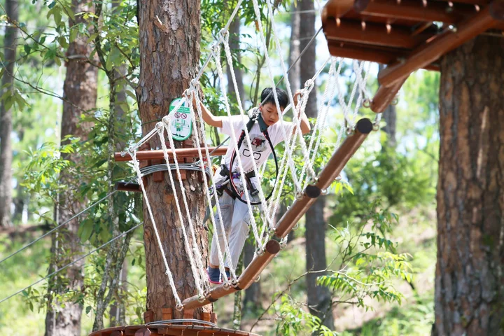 Datanla High Rope Course in Da Lat - Ask AI | mindtrip