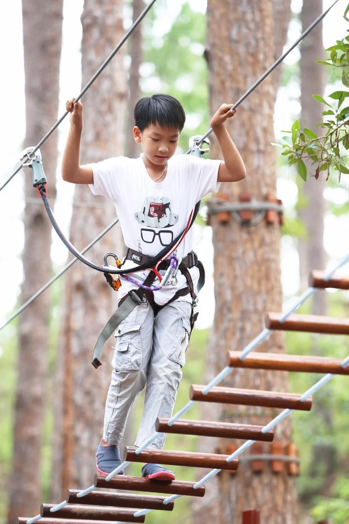 Datanla High Rope Course in Da Lat - Ask AI | mindtrip