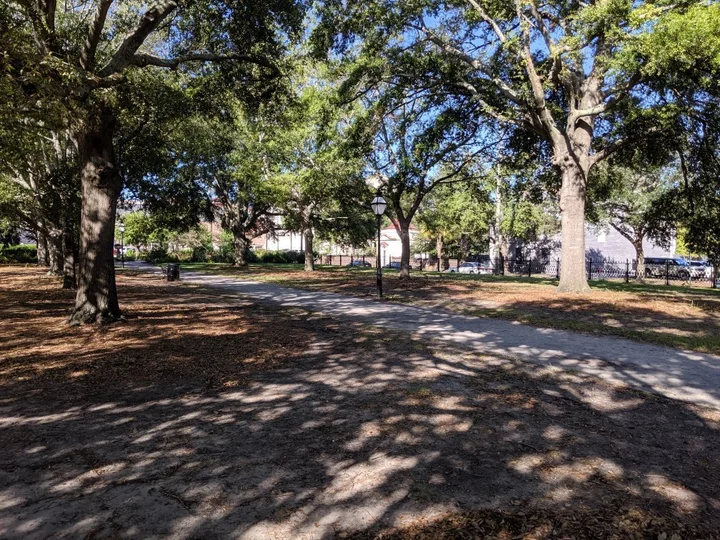 Wragg Square in Charleston | What to Know Before You Go
