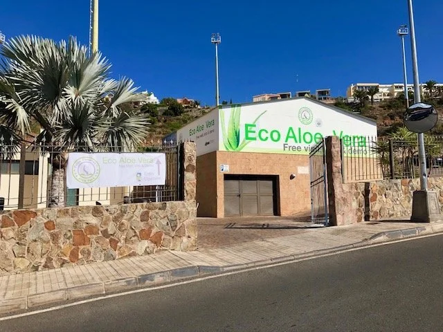 Finca Canarias Aloe Vera in San Agustin | Ask Anything