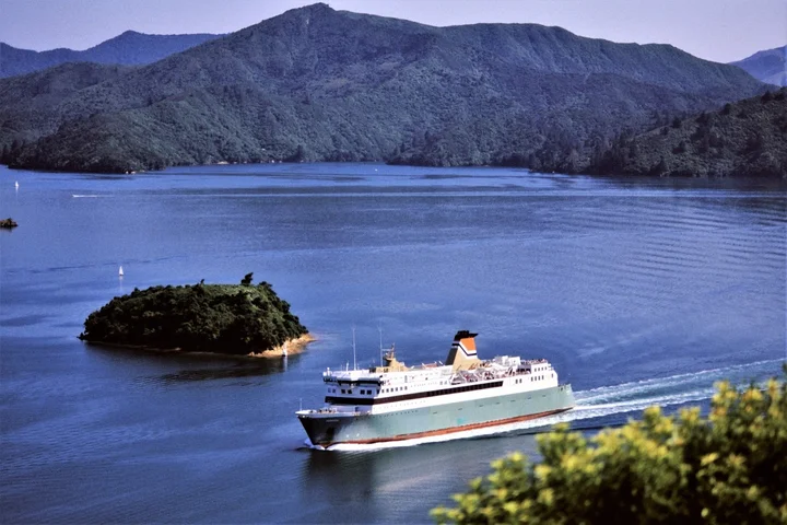 Bay View in Picton, Marlborough | What to Know Before You Go