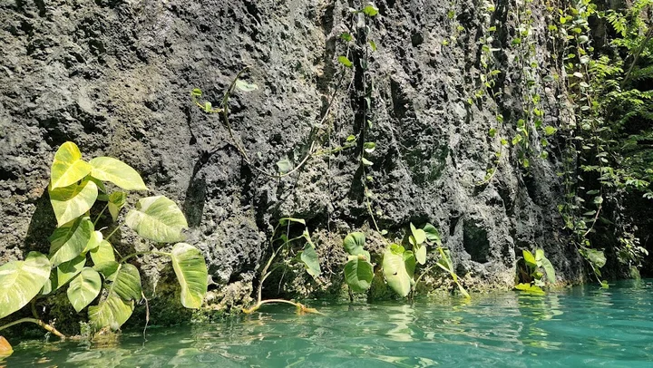 CENOTE ATIK TULUM in Tulum, Quintana Roo - Ask AI | mindtrip