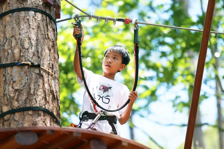 Datanla High Rope Course in Da Lat - Ask AI | mindtrip