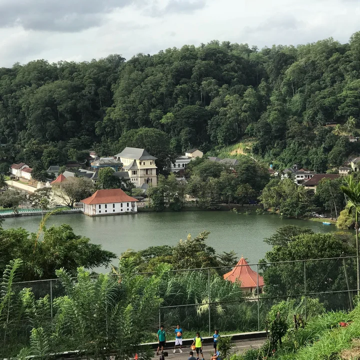 Kandy view point in Kandy | What to Know Before You Go