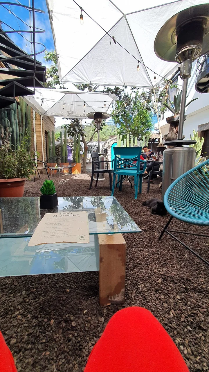 CASA AGAVE Ecuador in Quito, Pichincha - Ask AI | mindtrip
