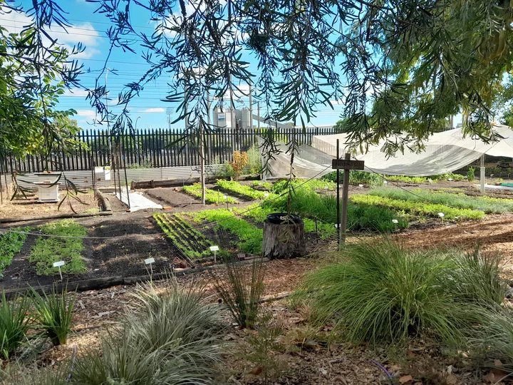 Perth City Farm in Perth - Ask AI | mindtrip