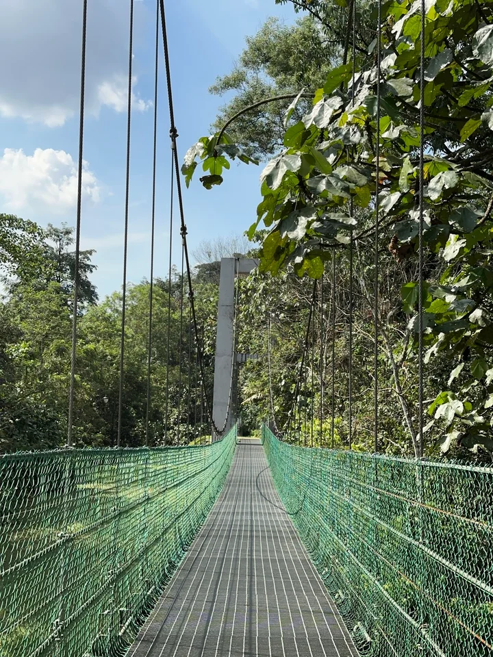 Taman Rimba Bukit Kerinchi - Ask AI | mindtrip
