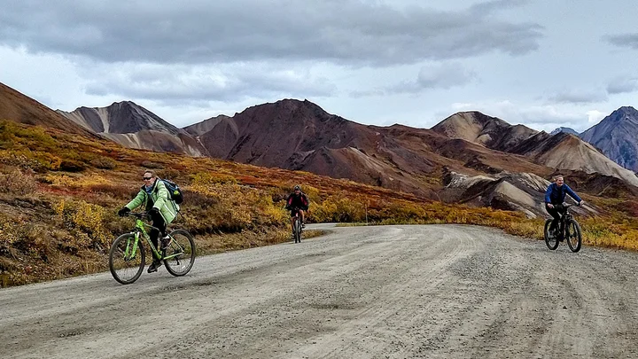 Denali Park Rd in Denali Park | What to Know Before You Go