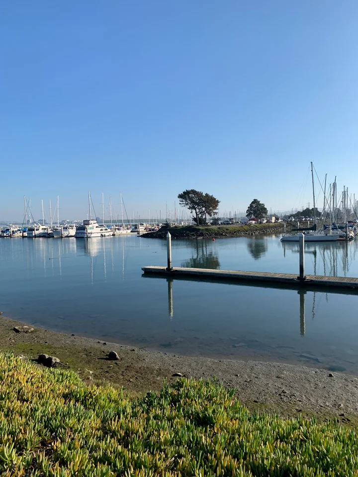 Coyote Point Recreation Area in San Mateo | Ask Anything