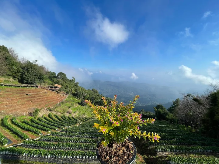 Mon Jam in Chiang Mai - Ask AI | mindtrip