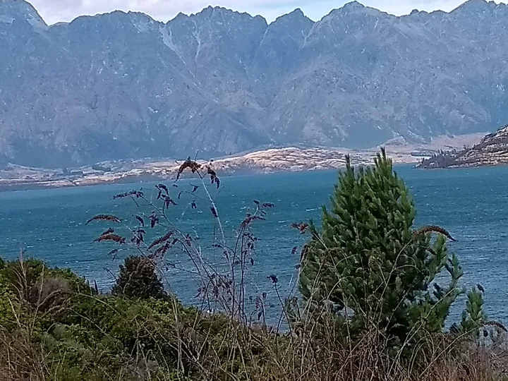 Seven Mile Point Track | What to Know Before You Go