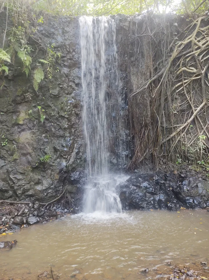 Cachoeira do manjolo in Fronteira - Ask AI | mindtrip