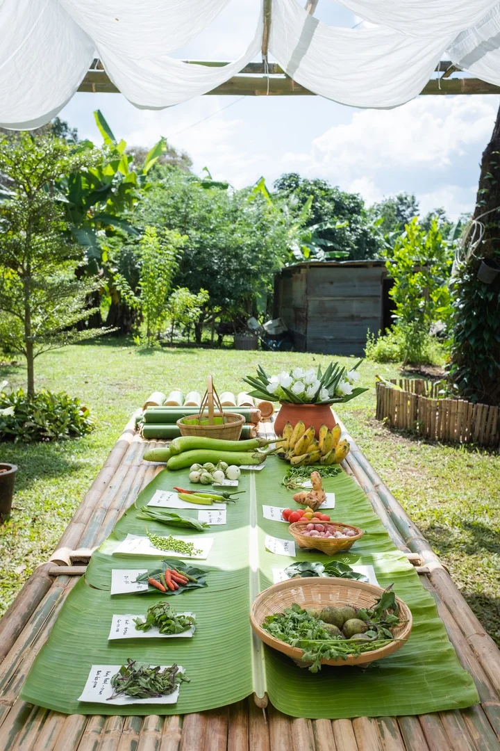 Buddha Raksa Nature Farm ไร่พุทธรักษา เชียงใหม่