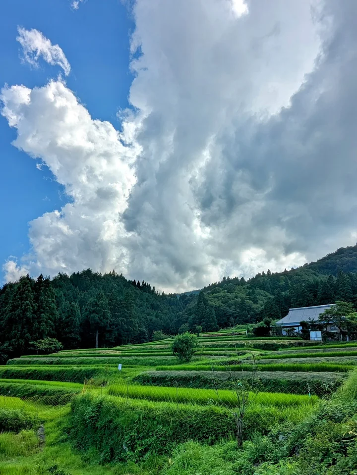 Hata Rice Terraces in Takashima - Ask AI | mindtrip