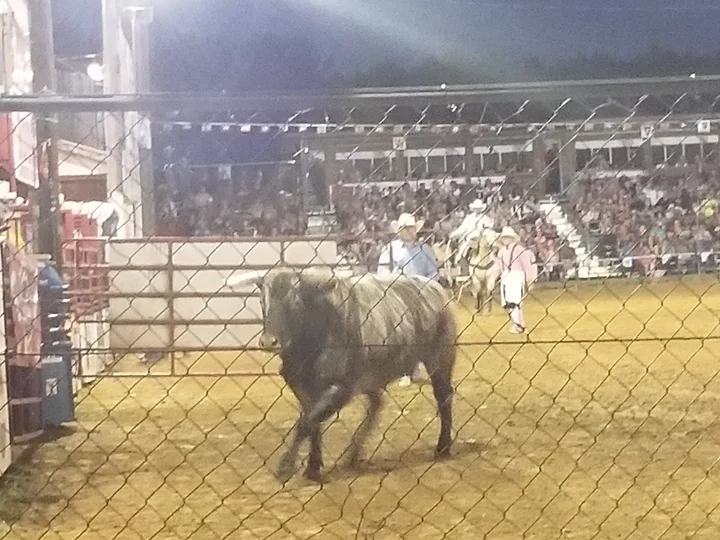 Spooner Rodeo in Spooner, Wisconsin | Ask Anything