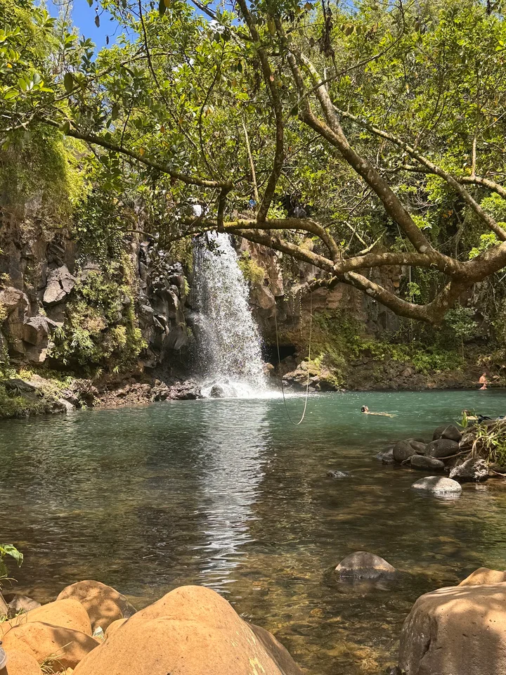 Minissy Waterfall in Moka, Moka District - Ask AI | mindtrip