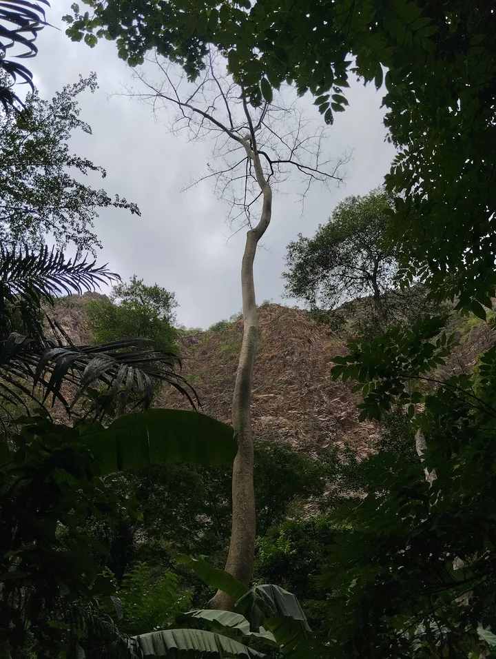 Nyagbo and Logba Caves in Hohoe | What to Know Before You Go