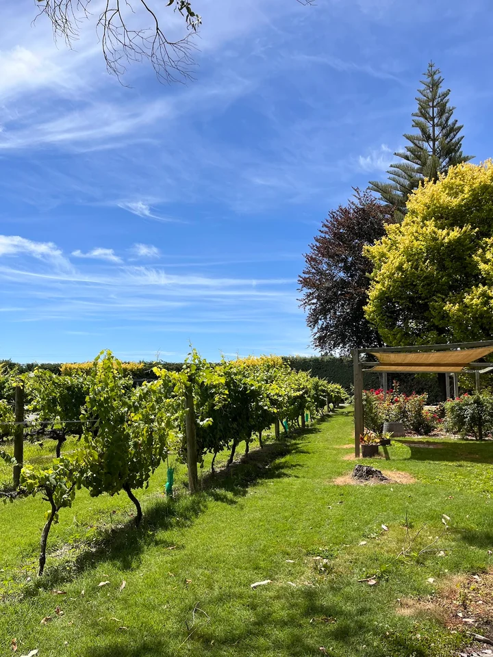 Brookfields Vineyards in Clive - Ask AI | mindtrip