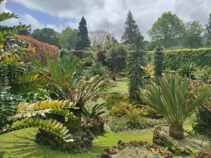 Parque Terra Nostra in Furnas, Açores - Ask AI | mindtrip